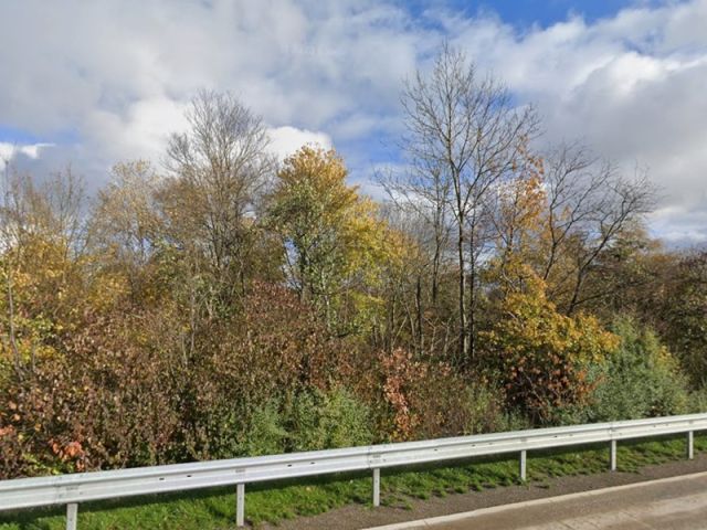 Blick von der A61 auf das größere Waldgebiet mit der Verkaufsfläche - Waldfläche nahe der A61 im staatlich anerkannten Luftkurort Boppard im Oberen Mittelrheintal