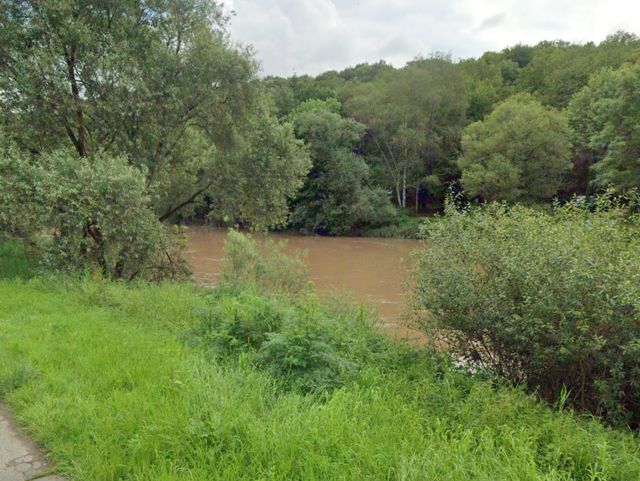 Blick auf die Verkaufsfläche und Umgebung - Grundstück aus dem Bereich der ehemaligen Westwallbunkeranlage ++ an der ´Sauer´ und nahe dem Campingplatz  ´DeuLux´++
