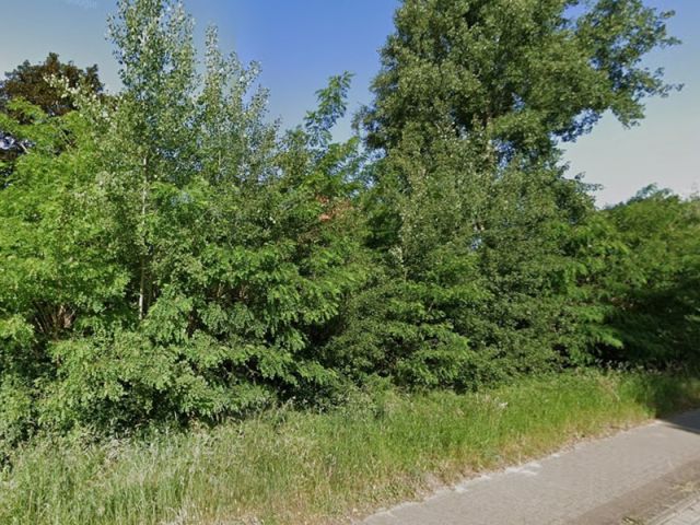 Blick auf Verkaufsfläche - Straßenbegleitende Gehölzfläche neben Wohngrundstücken ca. 40 km südöstlich von der Hamburger Innenstadt entfernt