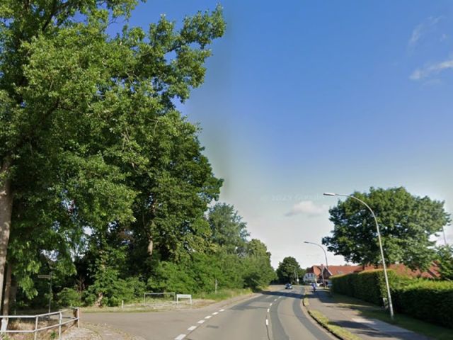Straßenansicht und Blick auf Verkaufsgegenstand linke Seite - Straßenbegleitende Gehölzfläche neben Wohngrundstücken ca. 40 km südöstlich von der Hamburger Innenstadt entfernt