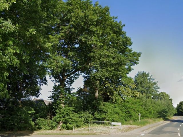 Blick auf Verkaufsgegenstand und Umgebung - Straßenbegleitende Gehölzfläche neben Wohngrundstücken ca. 40 km südöstlich von der Hamburger Innenstadt entfernt