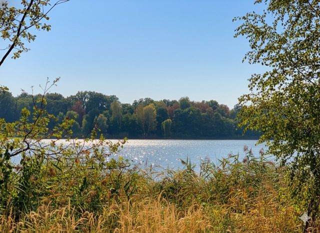 Umgebung Baggersee Gusow - Vertragsfreie Waldfläche nahe dem Baggersee & dem Schloss Gusow