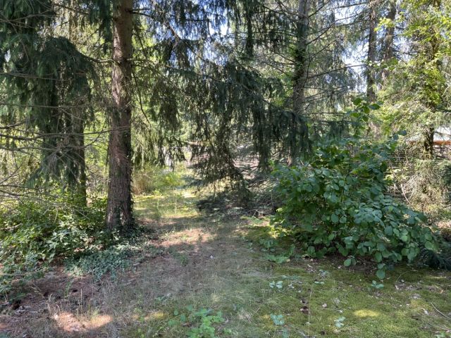 Blick auf das Grundstück - Grundstück mit ehem. Bungalow, Schuppen & Carport ++in einem Wohn- und Erholungsgebiet im nordöstlichen Umland von Berlin++