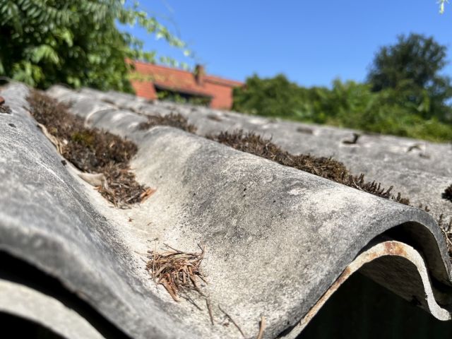 Detailansicht - Wellasbesteindeckung Schuppen - Grundstück mit ehem. Bungalow, Schuppen & Carport ++in einem Wohn- und Erholungsgebiet im nordöstlichen Umland von Berlin++