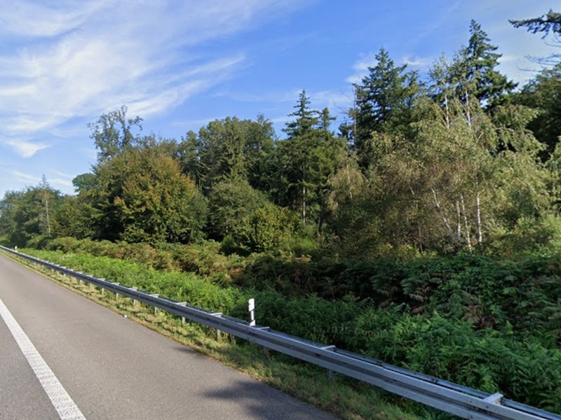 Wald-/Gehölzfläche an der A3 unweit der niederländischen Grenze