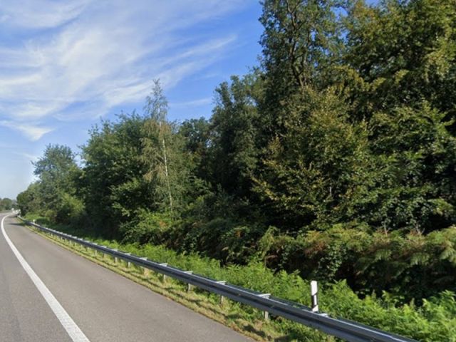 Blick von der A3 auf Verkaufsfläche und Umgebung - Wald-/Gehölzfläche an der A3 unweit der niederländischen Grenze