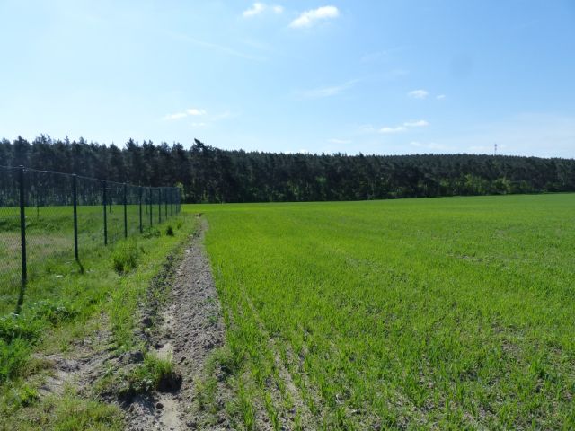 Verkaufsfläche und Umgebung - Vertragslos genutzte Landwirtschaftsfläche nahe der B 101 **etwa 25 km von Berlin entfernt**