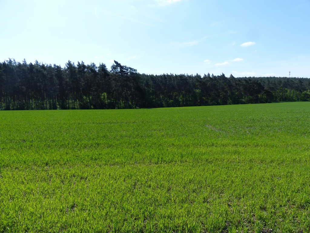 Vertragslos genutzte Landwirtschaftsfläche nahe der B 101 **etwa 25 km von Berlin entfernt**