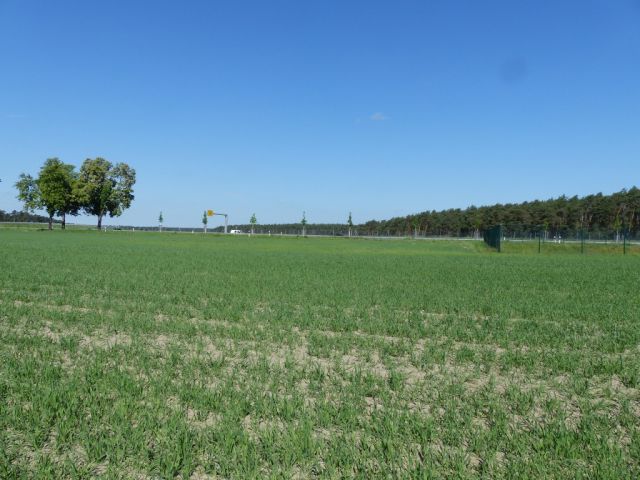 Verkaufsfläche und Umgebung - Vertragslos genutzte Landwirtschaftsfläche nahe der B 101 **etwa 25 km von Berlin entfernt**