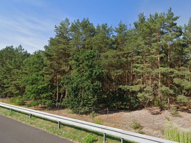 Blick auf die Verkaufsfläche und Umgebung - Vertragsfreie, kleine Waldfläche an der B 101 **etwa 30 km von Berlin entfernt**