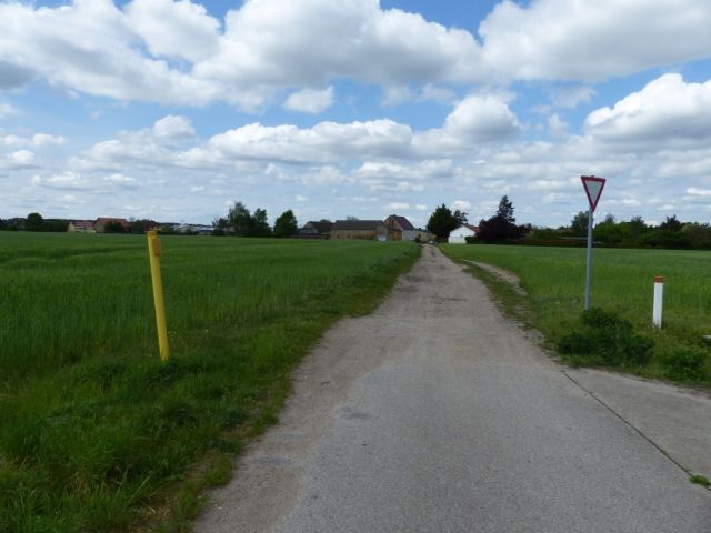 Umgebung - Vertragsfreie, kleine Waldfläche an der B 101 **etwa 30 km von Berlin entfernt**