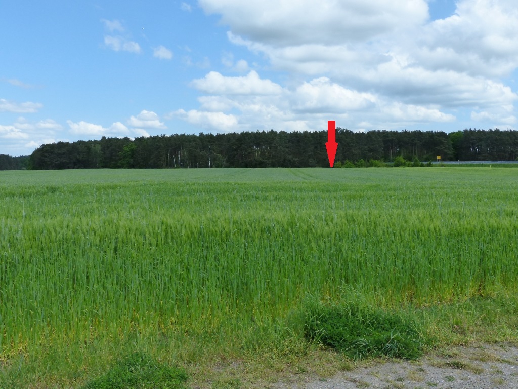 Vertragsfreie, kleine Waldfläche an der B 101 **etwa 30 km von Berlin entfernt**