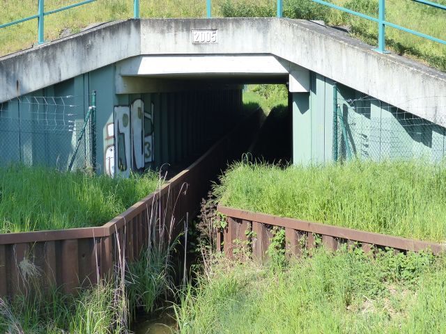 Verkaufsfläche und Umgebung - Entwässerungsgraben & Begrenzungs-/ bzw. Schutzfläche für einen Entwässerungsgraben unterhalb der B 101