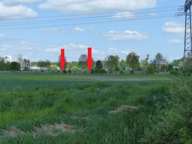 Verkaufsfläche und Umgebung - Kleines, vertraglos genutztes Grundstück am Rande einer Landwirtschaftsfläche **etwa 18 km vom Berliner Ring entfernt**