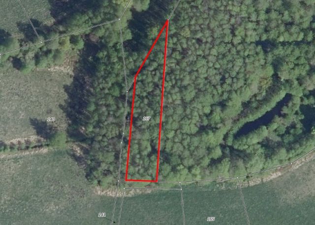 Lageskizze - Waldfläche im Landkreis Ostprignitz-Ruppin etwa 10 km westlich von Neuruppin