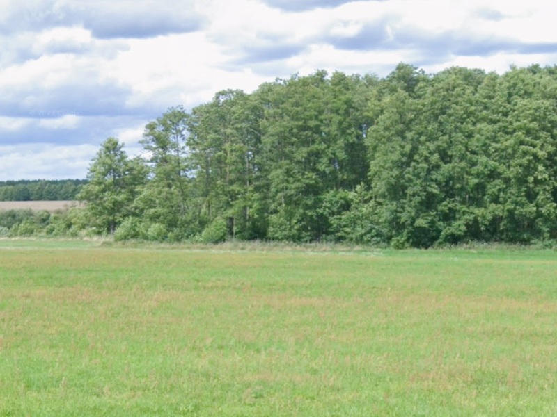 Waldfläche im Landkreis Ostprignitz-Ruppin etwa 10 km westlich von Neuruppin