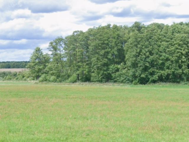 Blick auf Verkaufsgegenstand und Umgebung - Waldfläche im Landkreis Ostprignitz-Ruppin etwa 10 km westlich von Neuruppin