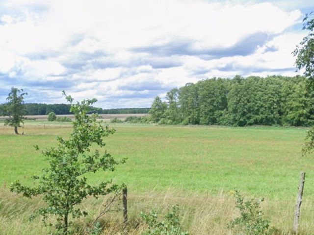 Blick auf Umgebung und Richtung Verkaufsgegenstand - Waldfläche im Landkreis Ostprignitz-Ruppin etwa 10 km westlich von Neuruppin
