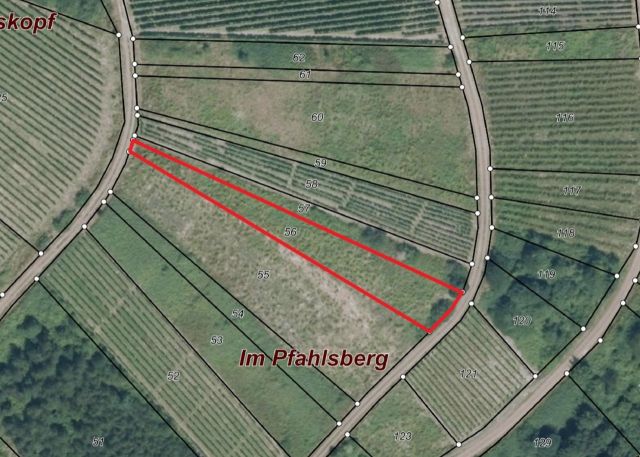 Lageskizze mit Luftbildunterlegung - Vertragsfreie, ehemalige Weinbergsfläche zwischen Weinbauflächen und Wohnbebauung im Moseltal