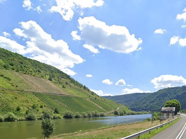 Blick in die Umgebung - Vertragsfreie Weinbergbrache in altem Weinort an der Mittelmosel **Lage gegenüber von Wohngrundstücken**