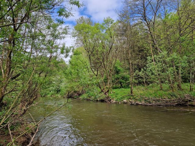 Blick auf die Verkaufsfläche und Umgebung - Vertragsfreies Grundstück angrenzend an den Fluss ´Nahe´ **unweit der A62 und der Landesgrenze zu Rheinland-Pfalz**