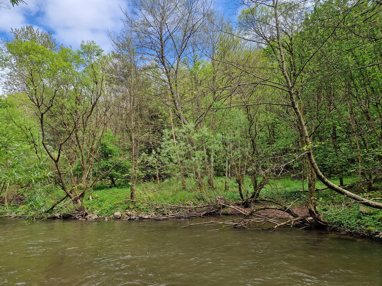 Vertragsfreies Grundstück angrenzend an den Fluss ´Nahe´ **unweit der A62 und der Landesgrenze zu Rheinland-Pfalz**