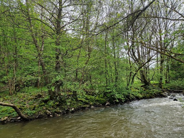 Verkaufsfläche und Umgebung - Vertragsfreies Grundstück angrenzend an den Fluss ´Nahe´ **unweit der A62 und der Landesgrenze zu Rheinland-Pfalz**