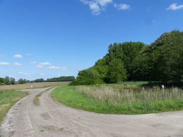 Blick auf die Verkaufsfläche und Umgebung - Vertragsfreies Grundstück - Teil eines teichähnlichen Gewässers **etwa 30 km von Berlin entfernt**