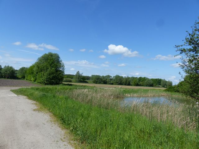 Blick auf die Verkaufsfläche und Umgebung - Vertragsfreies Grundstück - Teil eines teichähnlichen Gewässers **etwa 30 km von Berlin entfernt**