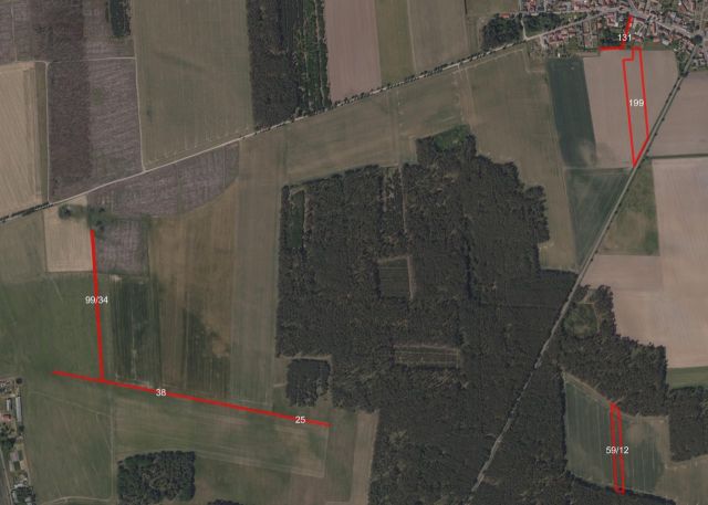Lageskizze alle Flurstücke - Über 2 ha Ackerland und sonstige Flächen - verpachtet bis 30.09.2028 * Jahrespacht ca. 1.000 €