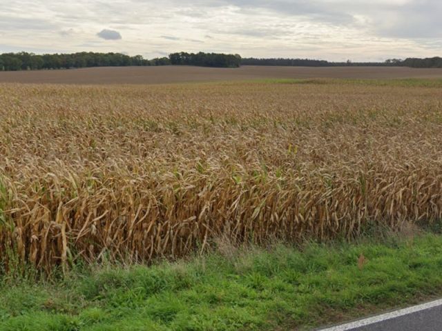 Blick auf Umgebung und Richtung Flurstücke 146, 149 und 150 - Landwirtschaftliche Splitterflächen mit insgesamt über 4.900 m² in der Prignitz