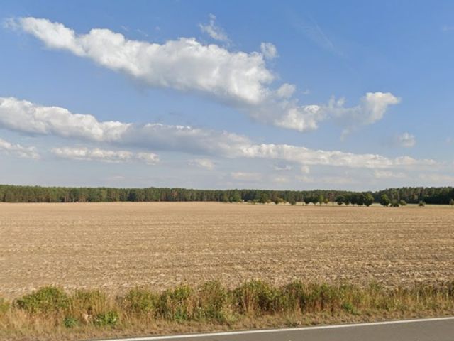 Blick auf die Umgebung und das größere Waldgebiet mit den Verkaufsflurstücken - Zwei Waldwegeflächen in der Oberlausitz