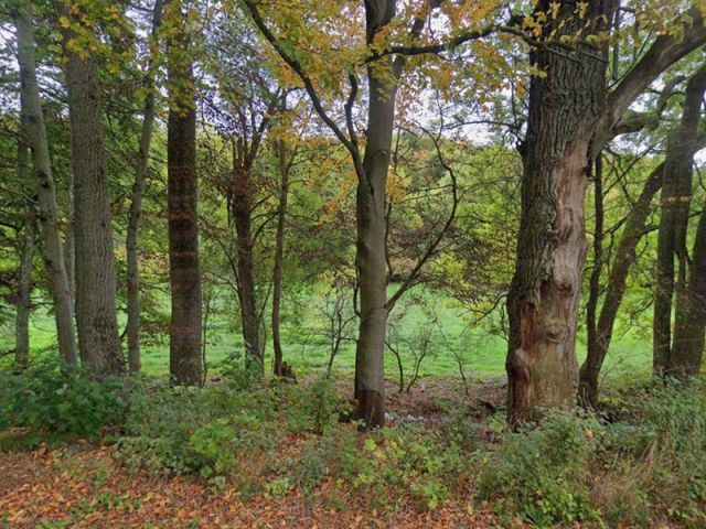 Blick auf Verkaufsfläche und Umgebung - Grünlandfläche im Südwesten des Freistaates Thüringen