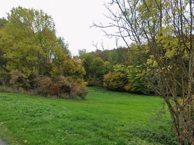 Blick auf Umgebung Richtung Verkaufsfläche - Grünlandfläche im Südwesten des Freistaates Thüringen