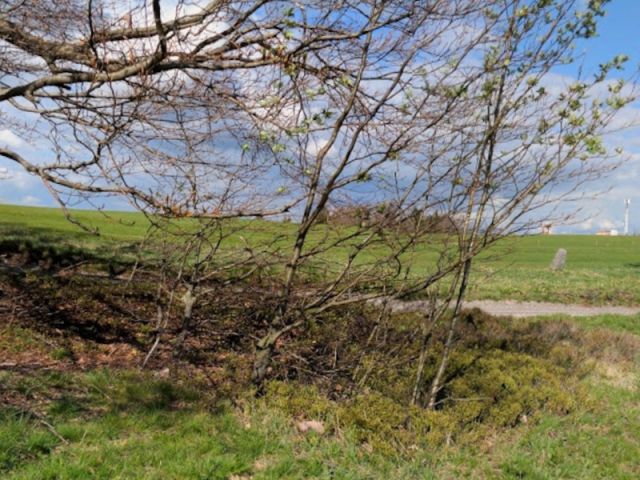 Blick Richtung Verkaufsfläche und auf die Umgebung - 1/2 Miteigentumsanteil an einer Landwirtschafts-/ Grünlandfläche nahe Schillerhöhe, Karl-Günter-Denkmal