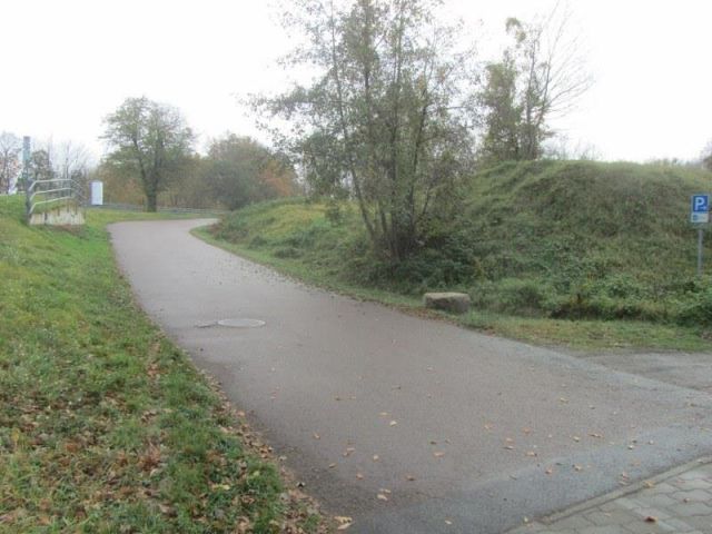 Unbebaute Gehölzfläche an der Wallwitzburg