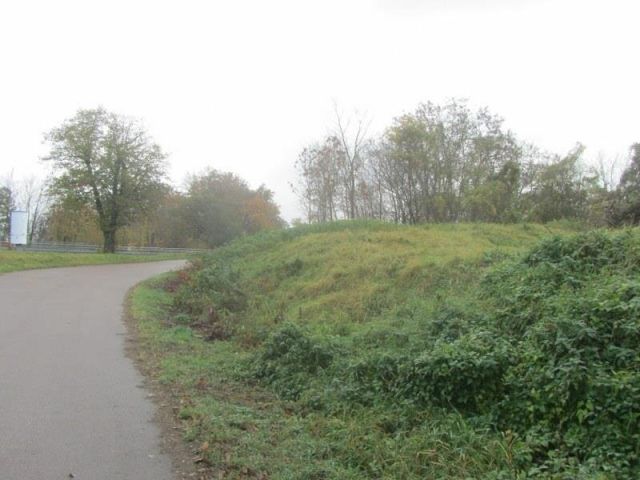 Unbebaute Gehölzfläche an der Wallwitzburg