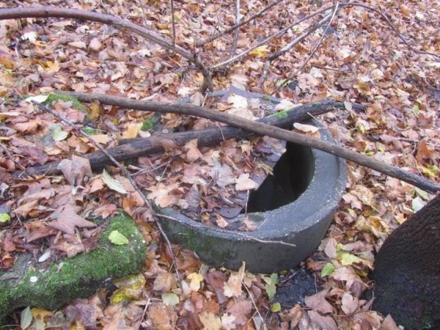 Unbebaute Gehölzfläche an der Wallwitzburg