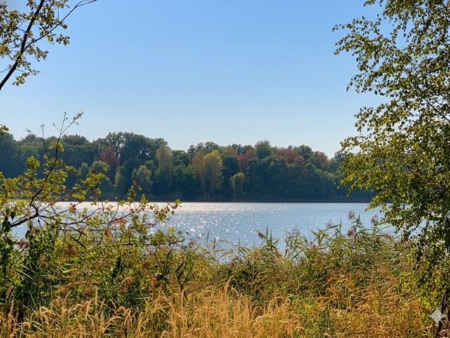 Umgebung Baggersee Gusow - Vertragsfreie Waldfläche nahe dem Baggersee & dem Schloss Gusow