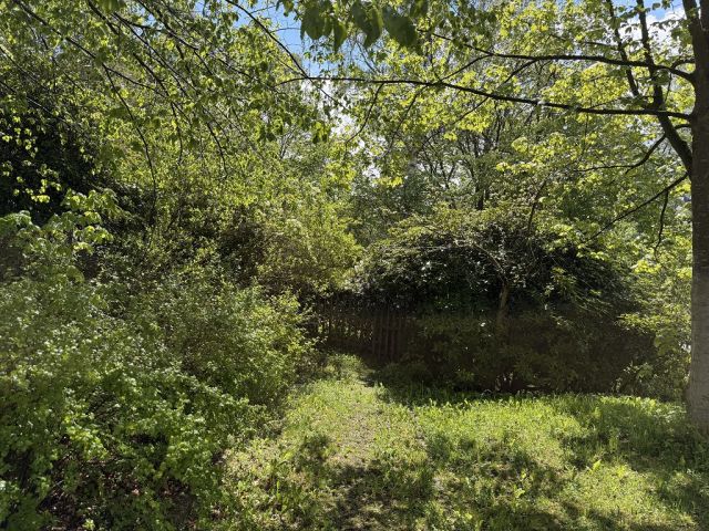 Blick auf Verkaufsfläche - Vertragsfreies Erholungsgrundstück mit alter Holzlaube und Gehölz-/ Wildwuchsfläche im Erzgebirge