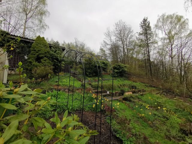 Blick auf Verkaufsfläche, ehemals genutzter Bereich - Aufnahme aus 2021 - Vertragsfreies Erholungsgrundstück mit alter Holzlaube und Gehölz-/ Wildwuchsfläche im Erzgebirge