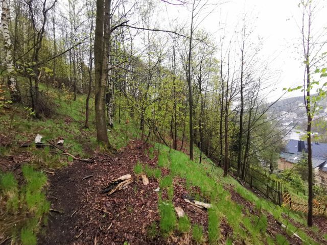 Blick auf Verkaufsfläche und Umgebung - Aufnahme aus 2021 - Vertragsfreies Erholungsgrundstück mit alter Holzlaube und Gehölz-/ Wildwuchsfläche im Erzgebirge