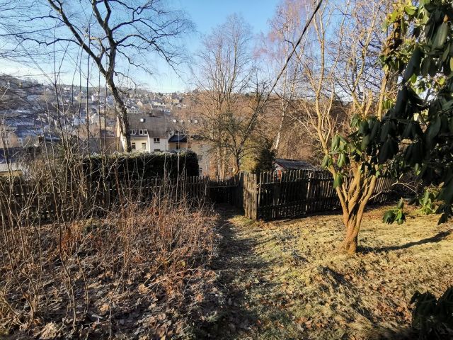 Blick auf Verkaufsfläche und Umgebung - Aufnahme aus 2021 - Vertragsfreies Erholungsgrundstück mit alter Holzlaube und Gehölz-/ Wildwuchsfläche im Erzgebirge