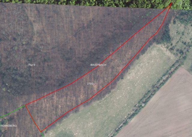 Lageskizze - 2460/34560 Miteigentumsanteil an einer Waldfläche unweit der Landesgrenze zum Freistaat Bayern