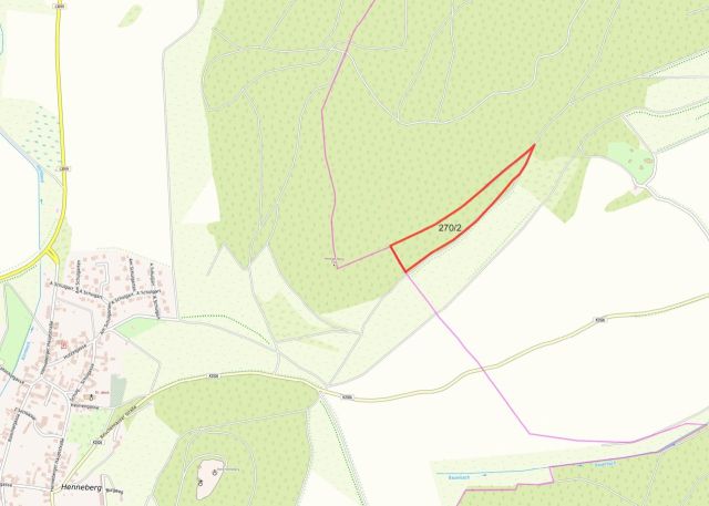 Lageskizze - 2460/34560 Miteigentumsanteil an einer Waldfläche unweit der Landesgrenze zum Freistaat Bayern