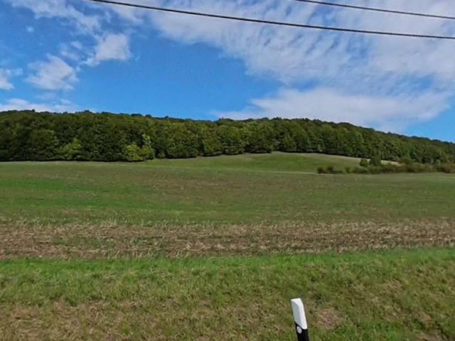 Blick von der K2526 Richtung Verkaufsfläche und auf die Umgebung - 2460/34560 Miteigentumsanteil an einer Waldfläche unweit der Landesgrenze zum Freistaat Bayern