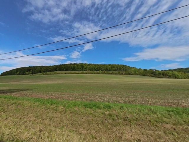 Blick von der K2526 Richtung Verkaufsfläche und auf die Umgebung - 2460/34560 Miteigentumsanteil an einer Waldfläche unweit der Landesgrenze zum Freistaat Bayern