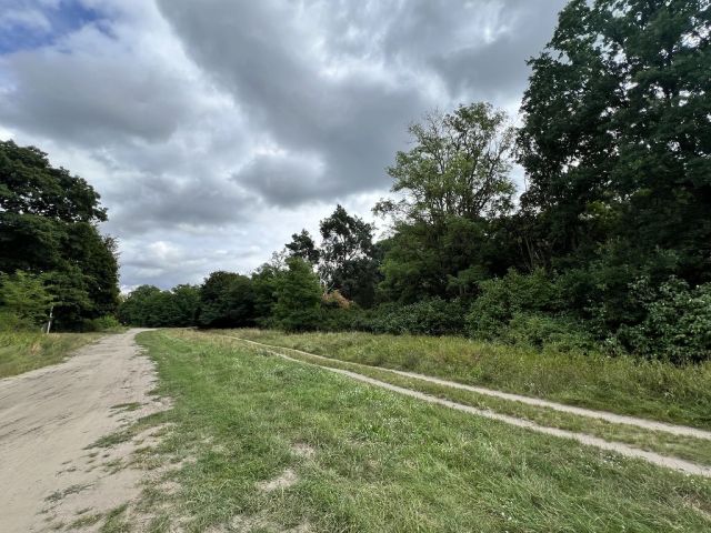 Blick auf Waldesruher Straße und Umgebung - Vertragsfreie Waldfläche nahe Wohnbebauung und nur ca. 70 m von der Berliner Stadtgrenze entfernt
