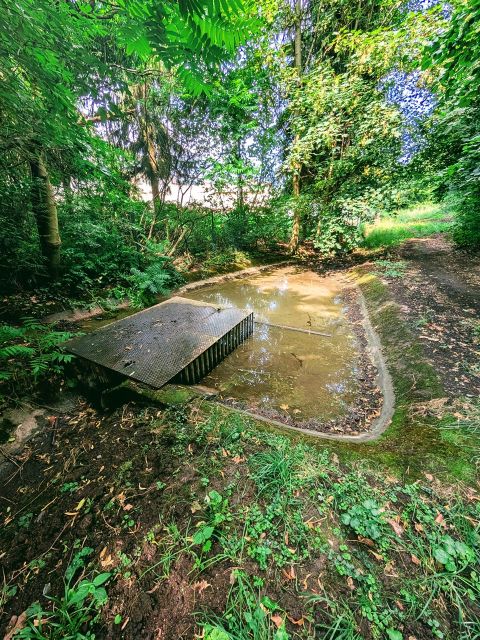 Wasserlauf an der hinteren Grundstücksgrenze - Innerstädtische Freifläche im Wohngebiet **Ufergrundstück direkt am Weiser Bach**