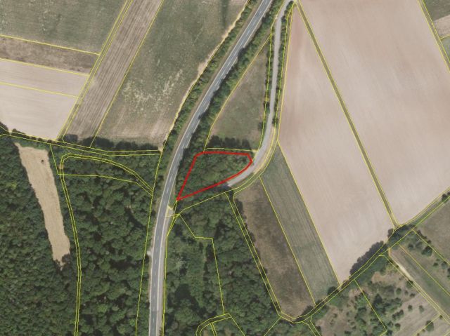 Umgebungsskizze - Gehölzfläche an einem Radweg nördlich von Oberlauringen